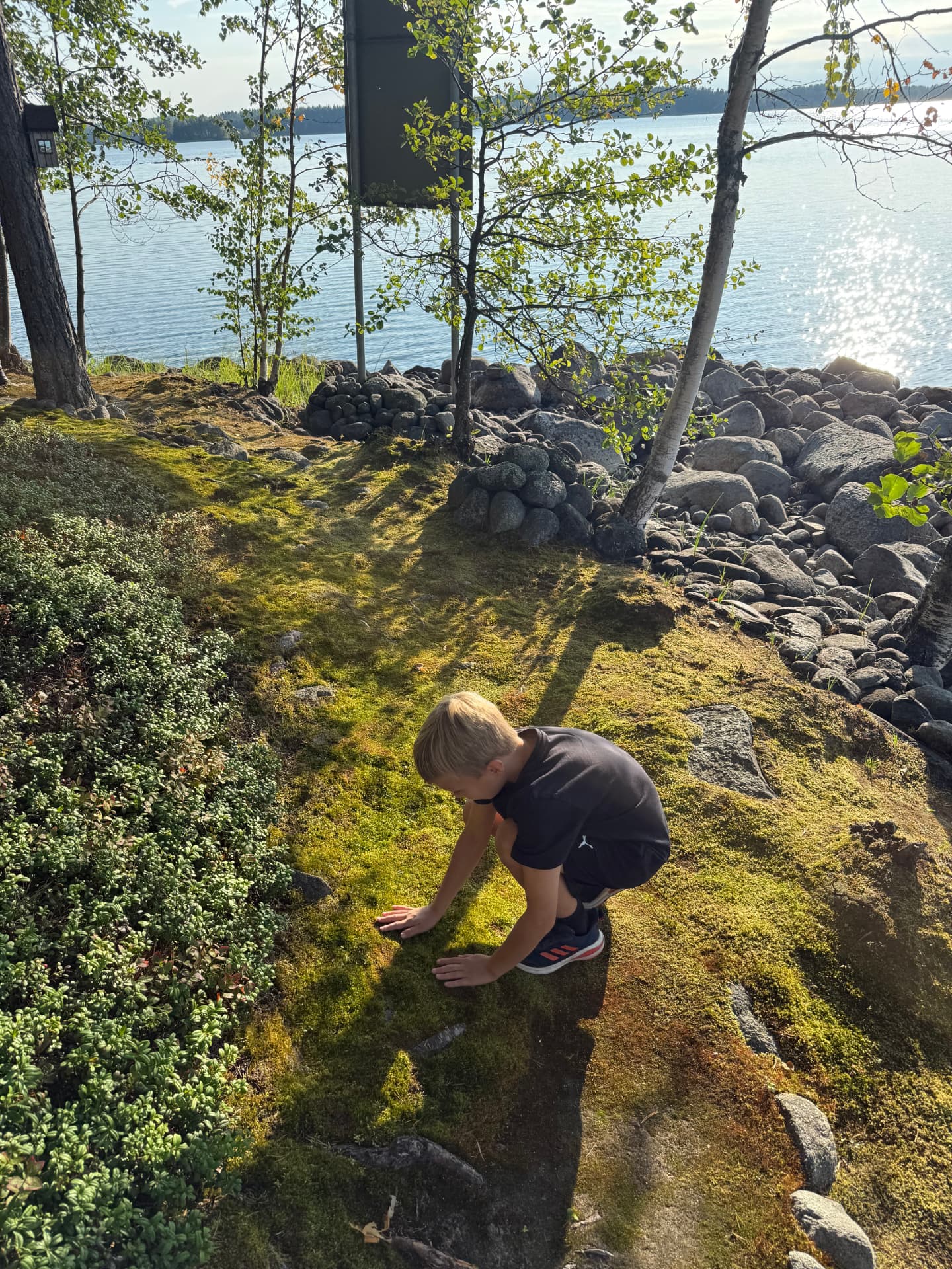 Lapsi tutkimassa sammalta kalliolla järven rannalla