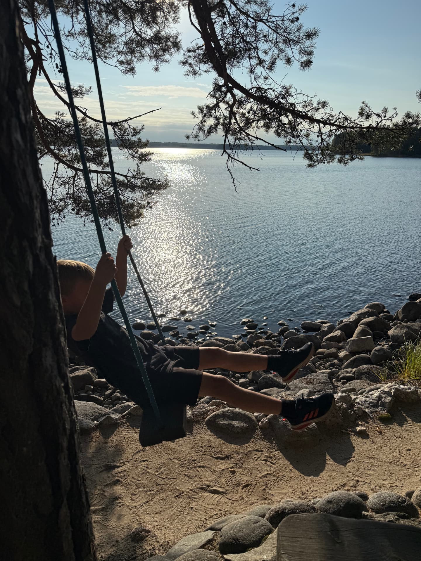 Lapsi keinumassa männyn oksassa Saimaan rannalla